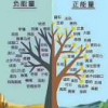 深思熟虑